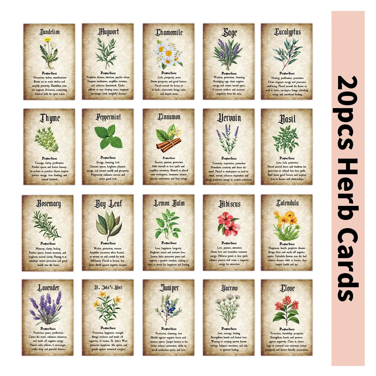 A collection of twenty-seven botanical herb cards featuring illustrations and text for journaling and apothecary decor.