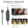 USB plug for a brightness adjustable light featuring controls for brightness, color temperature switch, and switch control.
