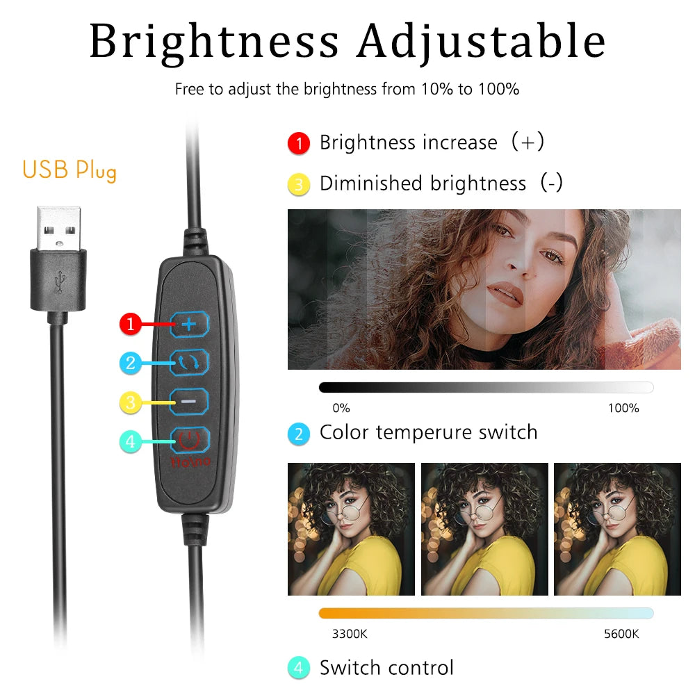 USB plug for a brightness adjustable light featuring controls for brightness, color temperature switch, and switch control.