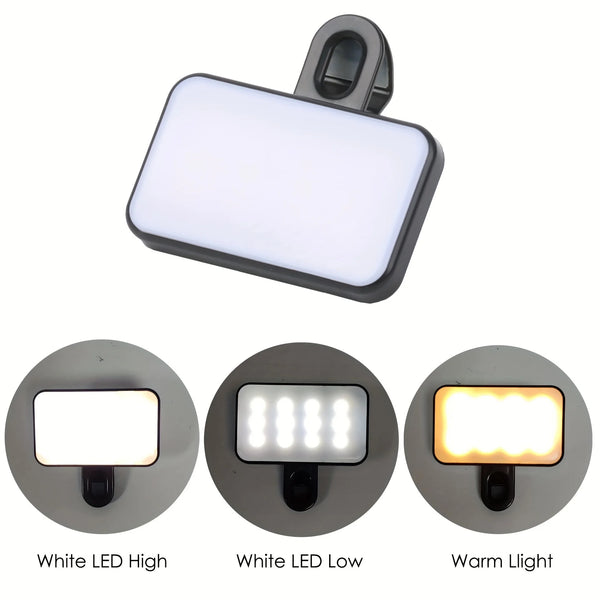 Three versions of a portable LED light are shown: White LED High, White LED Low, and Warm Light.