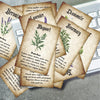 A collection of botanical herbal reference cards featuring plants like Lavender, Mugwort, and Rosemary on a gray background.