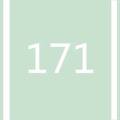 A light green rectangular background with a vertical gray stripe and the number 171 in white font.