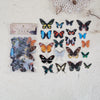 A collection of various butterfly wings in different colors and patterns, packaged for scrapbooking.