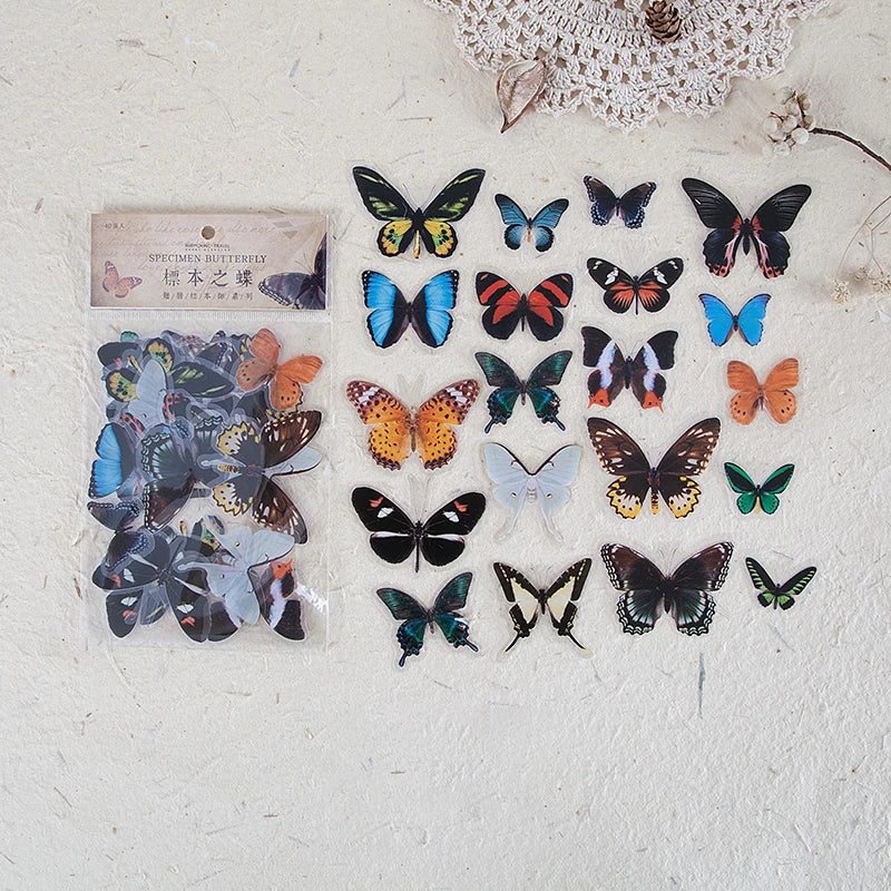 A collection of various butterfly wings in different colors and patterns, packaged for scrapbooking.