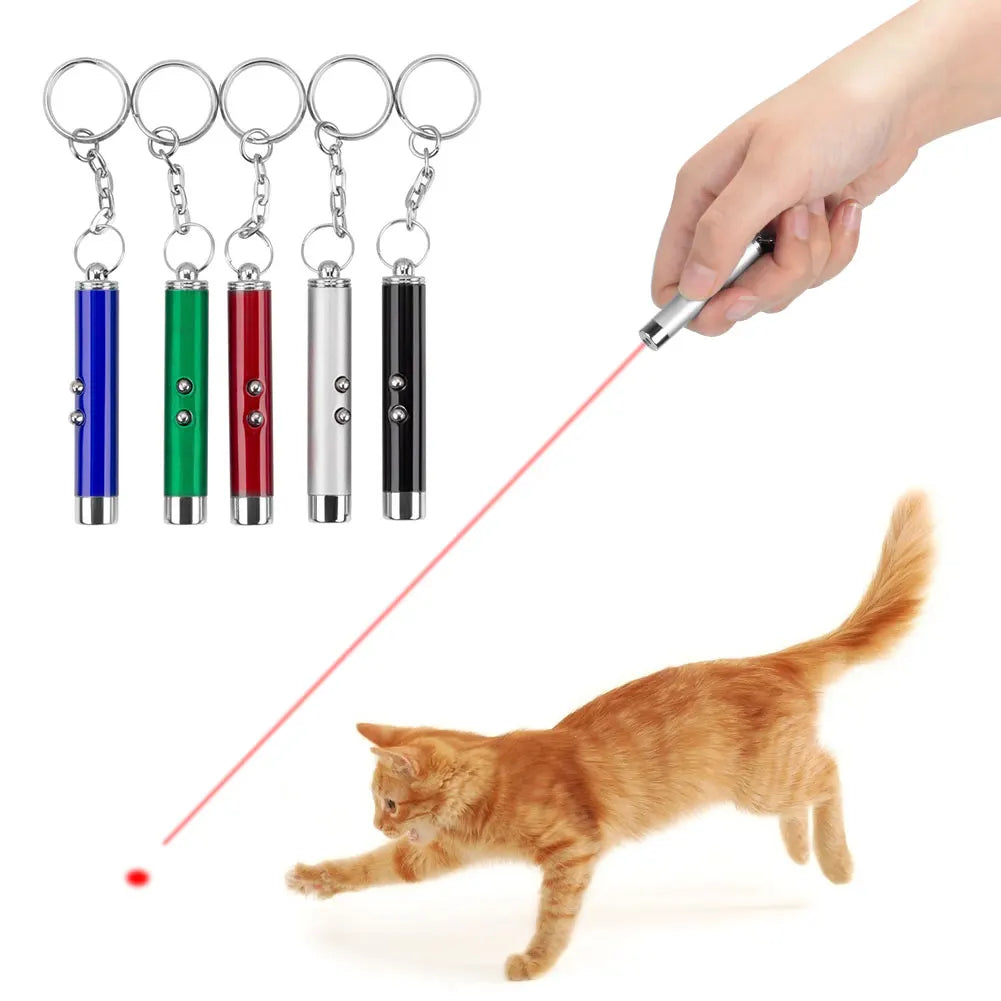 Una mano apunta un puntero láser desde un llavero hacia un gato naranja.