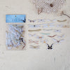 A collection of dried butterfly wings in a clear plastic packet for scrapbooking and journaling.