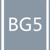 A gray square background with white text BG5.