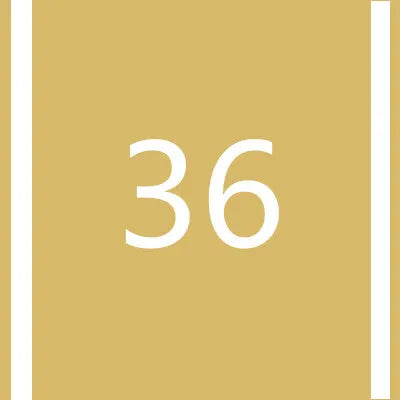 A beige square background with a vertical light brown stripe and the number 36 in white.