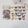A collection of colorful butterfly wings in a clear plastic packet for scrapbooking and journaling