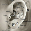 An anatomical diagram of a human ear showing various parts like the helix, tragus, lobe, and conch.