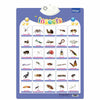 An interactive alphabet learning poster featuring various insects and animals for educational purposes.