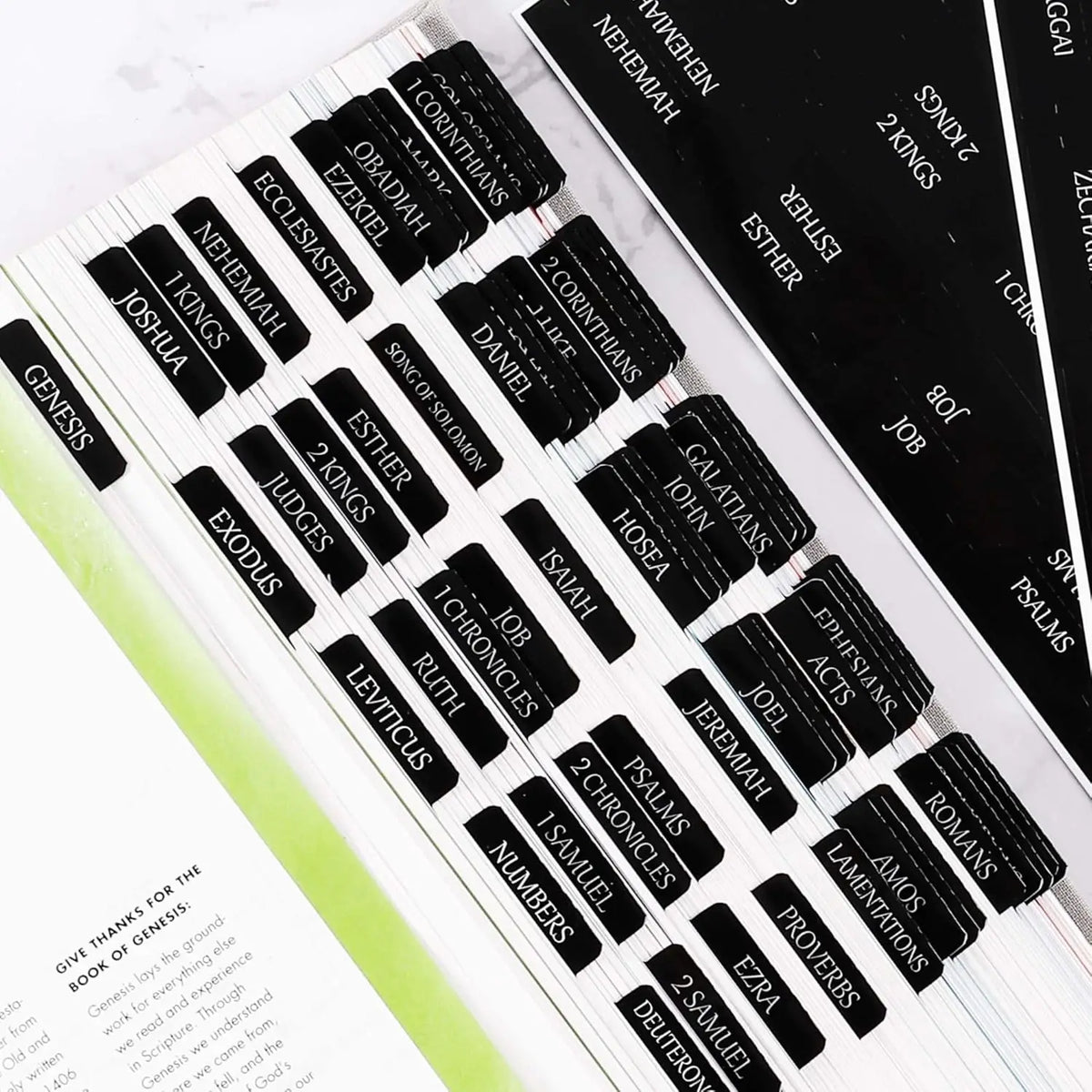 Laminated Bible tabs featuring Genesis through Romans chapters for easy reading
