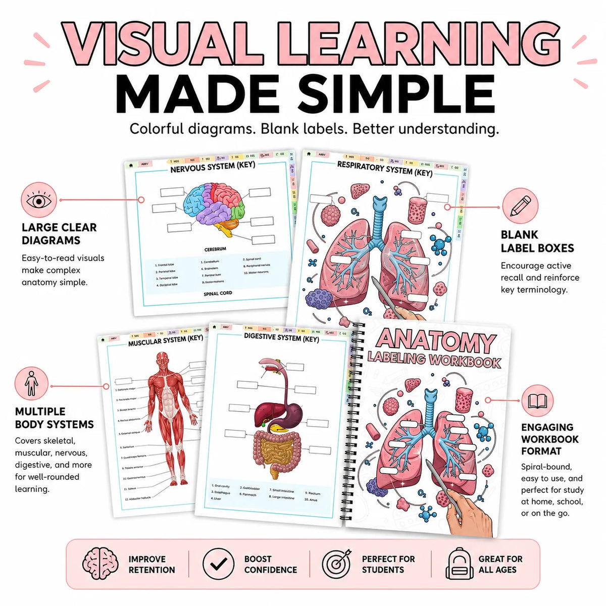 Anatomy labeling workbook with colorful diagrams and blank labels for visual learning.