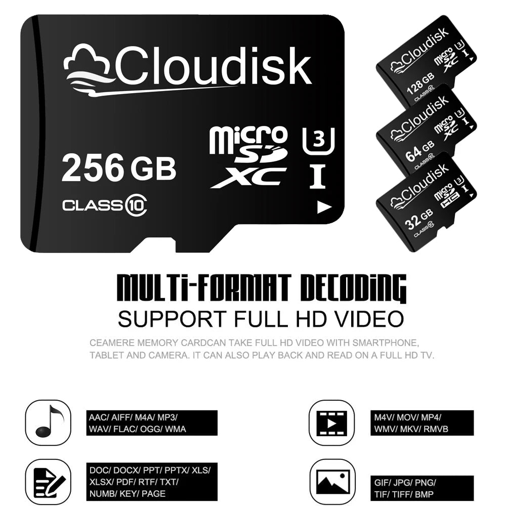 A black MicroSD memory card labeled Cloudisk 256 GB Class 10 with various decoding support options.