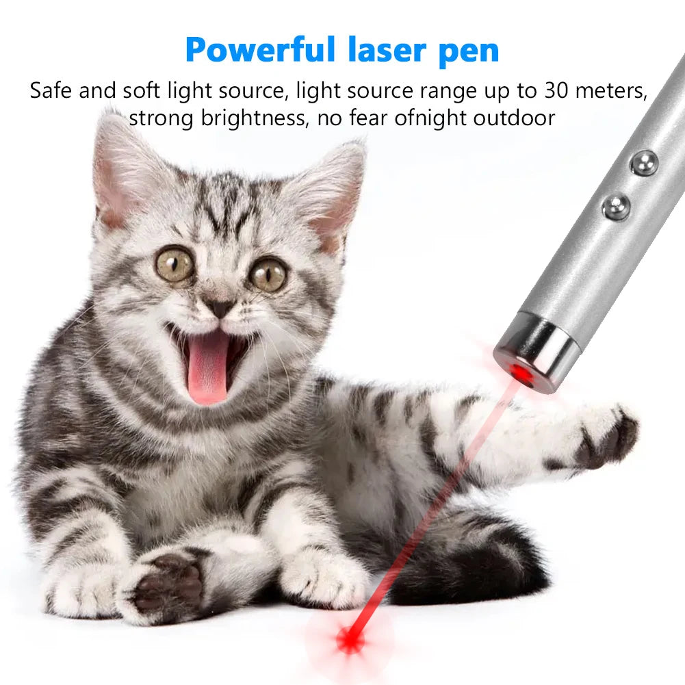 Un gatito es atacado por un potente puntero láser, mostrando el haz de luz golpeando su pata.