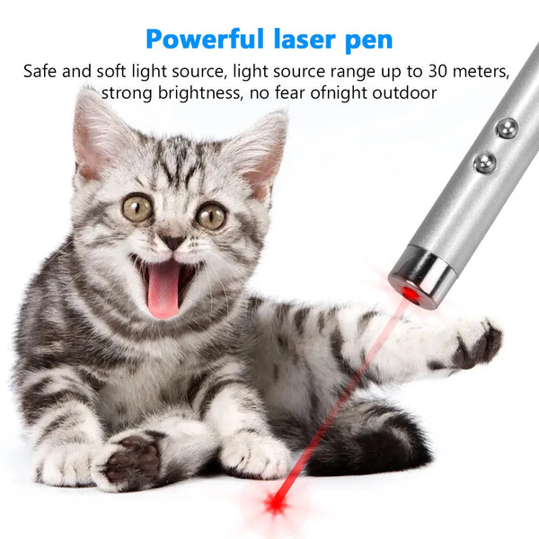 Un gatito es atacado por un potente puntero láser, mostrando el haz de luz golpeando su pata.