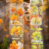 Clear botanical tape featuring vibrant autumn trees and foliage for journaling and crafts