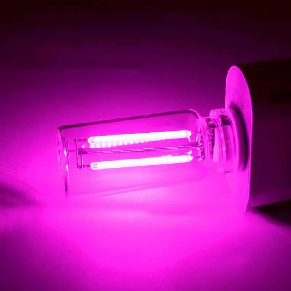 A glowing pink retro Edison LED bulb with a clear glass enclosure is illuminated against a dark background.