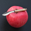 A polished silver fixed blade knife is mounted on a bright red apple.