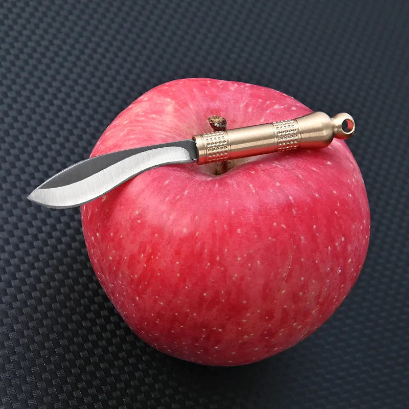A polished silver fixed blade knife is mounted on a bright red apple.