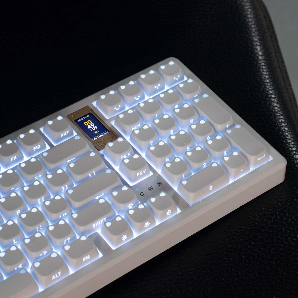 Nahaufnahme einer weißen mechanischen Tastatur mit hellblauer Beleuchtung und niedlichen Katzen-Tastenkappen auf einer schwar