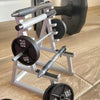 A silver barbell rack organizer holding various weights and barbell pins.