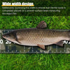 A fish is placed on a wide width design ruler for measuring its body length.