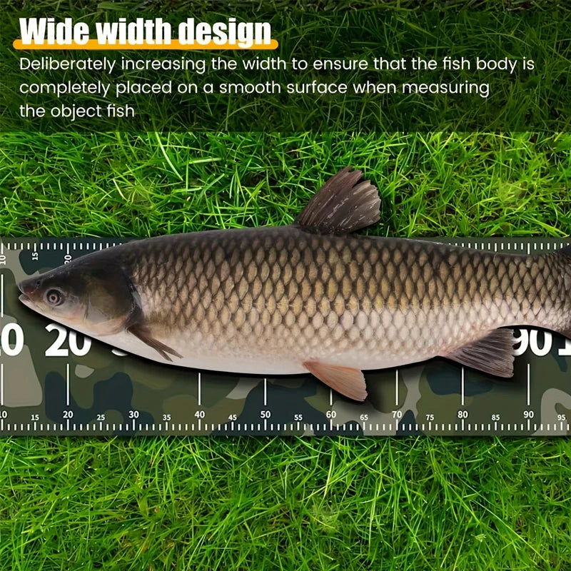 A fish is placed on a wide width design ruler for measuring its body length.