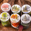 A collection of glass jars filled with forest botanical PET tape in various natural colors and textures.