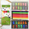 A set of 12 neon coloured pencils packaged in green, displayed with sunlight and purple light on black paper.