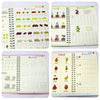 Un set de cuatro cuadernos de práctica de matemáticas y lectura para niños con diversos ejercicios y actividades.