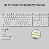 A collection of 123 side print backlit PBT keycaps laid out on a light gray surface.