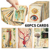 A stack of vintage anatomical biology postcards showing detailed skeletal and biological illustrations.