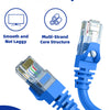 Blauer CAT5E Ethernet-Kabelstecker und Drahtbündel für die Netzwerkkonnektivität.