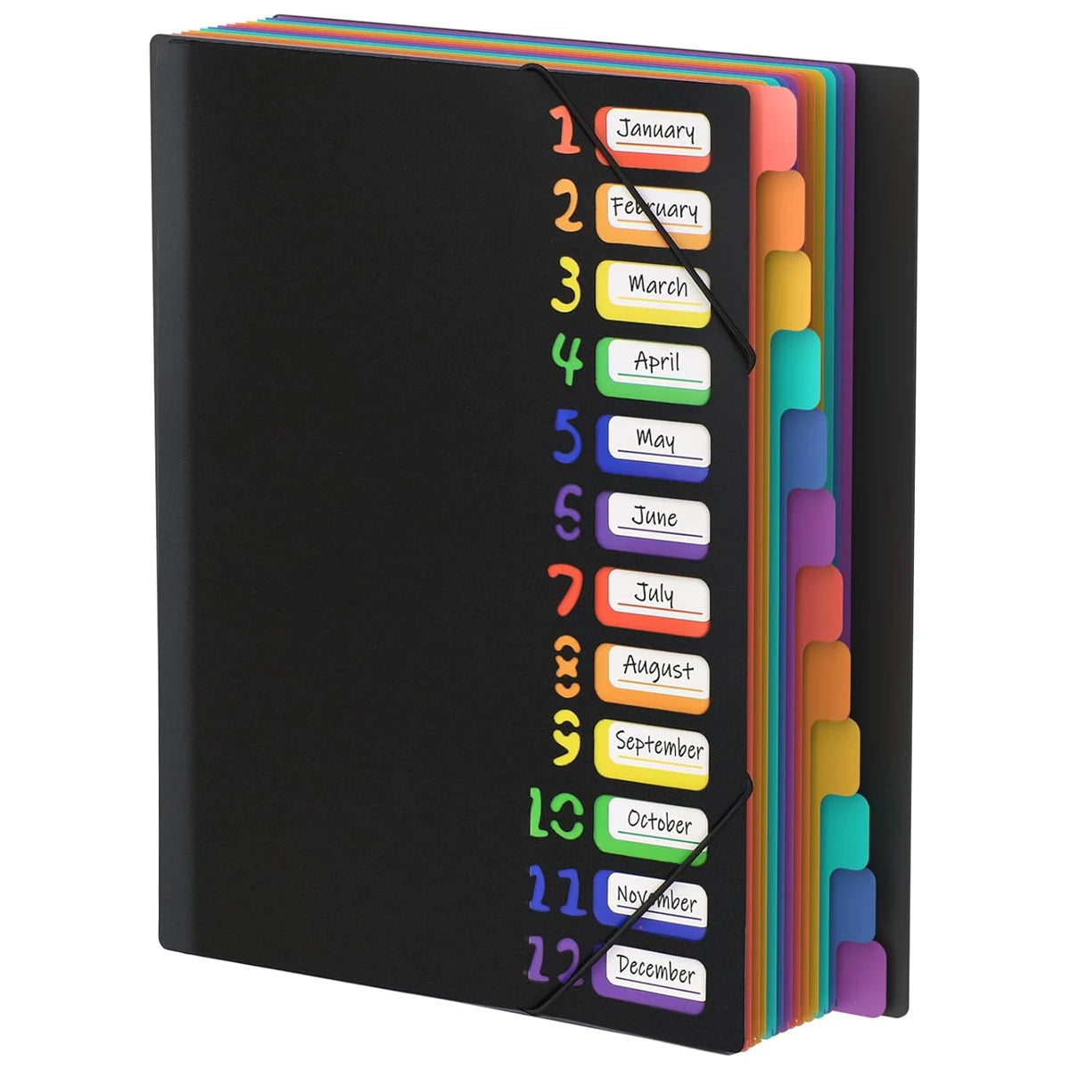 A black file folder with A4 size monthly dividers labeled by month and color tabs.