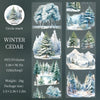 Winter cedar forest botanical PET tape featuring evergreen trees and snowy landscapes