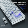 A close-up view of a white contoured mechanical keyboard with clear and transparent characters and blue backlight.