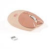 A beige gradient cat-shaped silent wireless mouse with a silver scroll wheel and a white dongle.