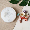 A set of motivational greeting cards featuring pressed flowers and a white wax seal on a natural woven background.