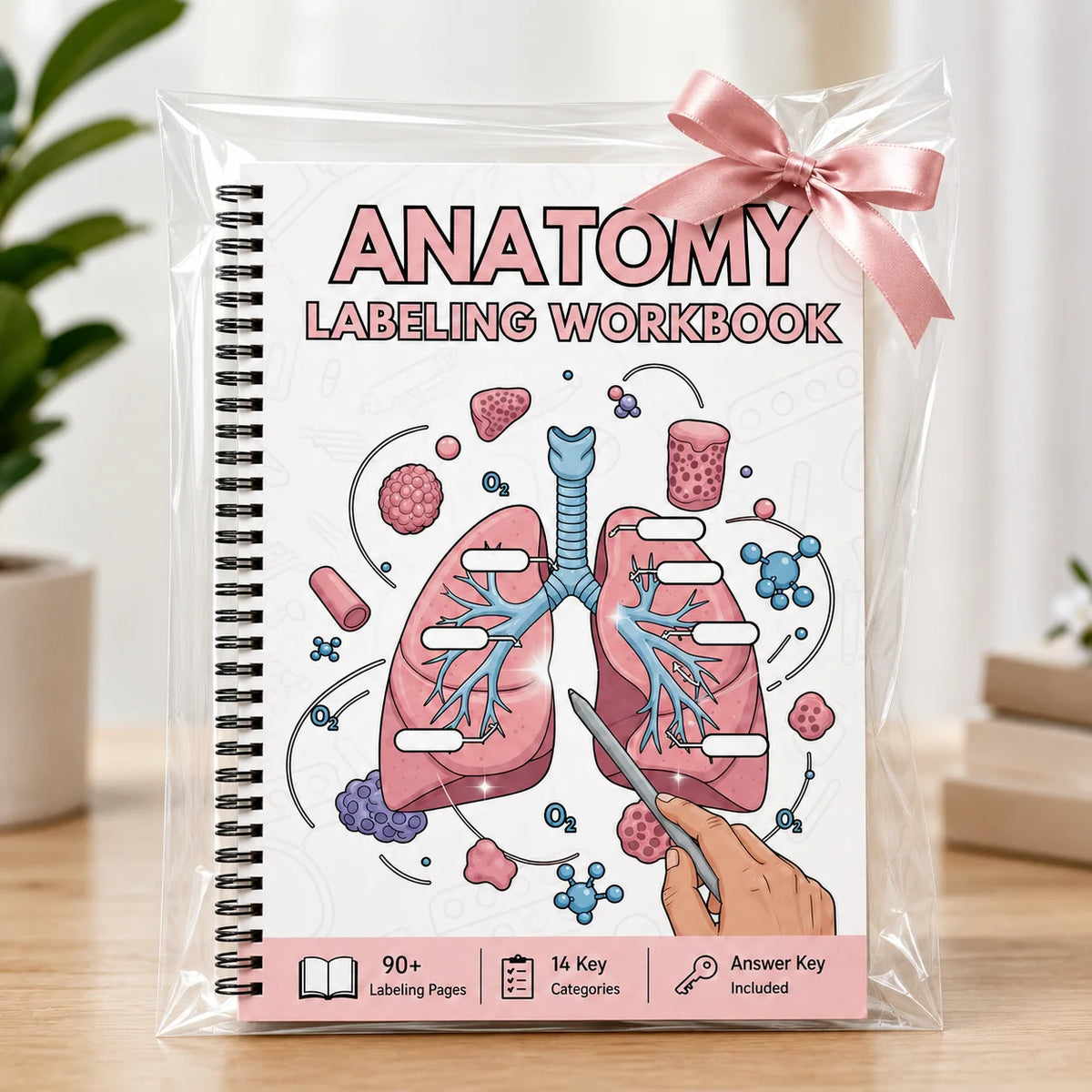 A clear plastic package of an Anatomy Labeling Workbook with illustrations of the human lungs and respiratory system.