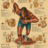 Poster showing various sports injuries and anatomy, including fractures, sprains, and muscle damage.