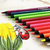 A red ladybug rests on a yellow flower next to a set of metallic fluorescent colored pencils.