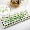 A close-up of a light green mechanical keyboard featuring colorful PBT keycaps and a white keycap set.
