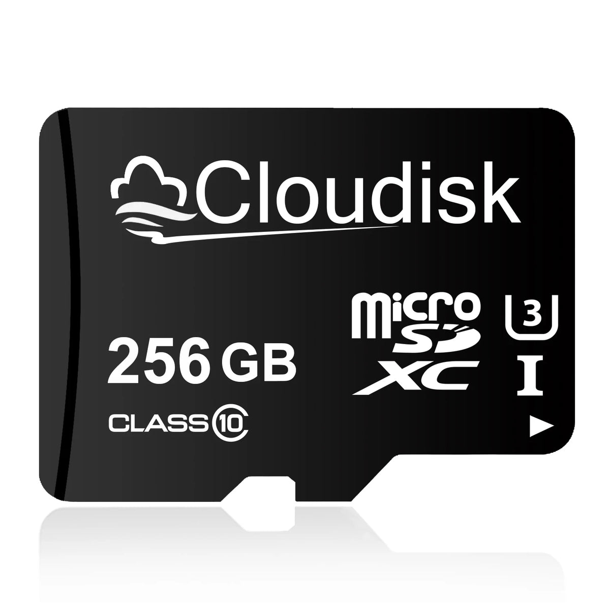 A black microSD card labeled Cloudisk 256 GB Class 10