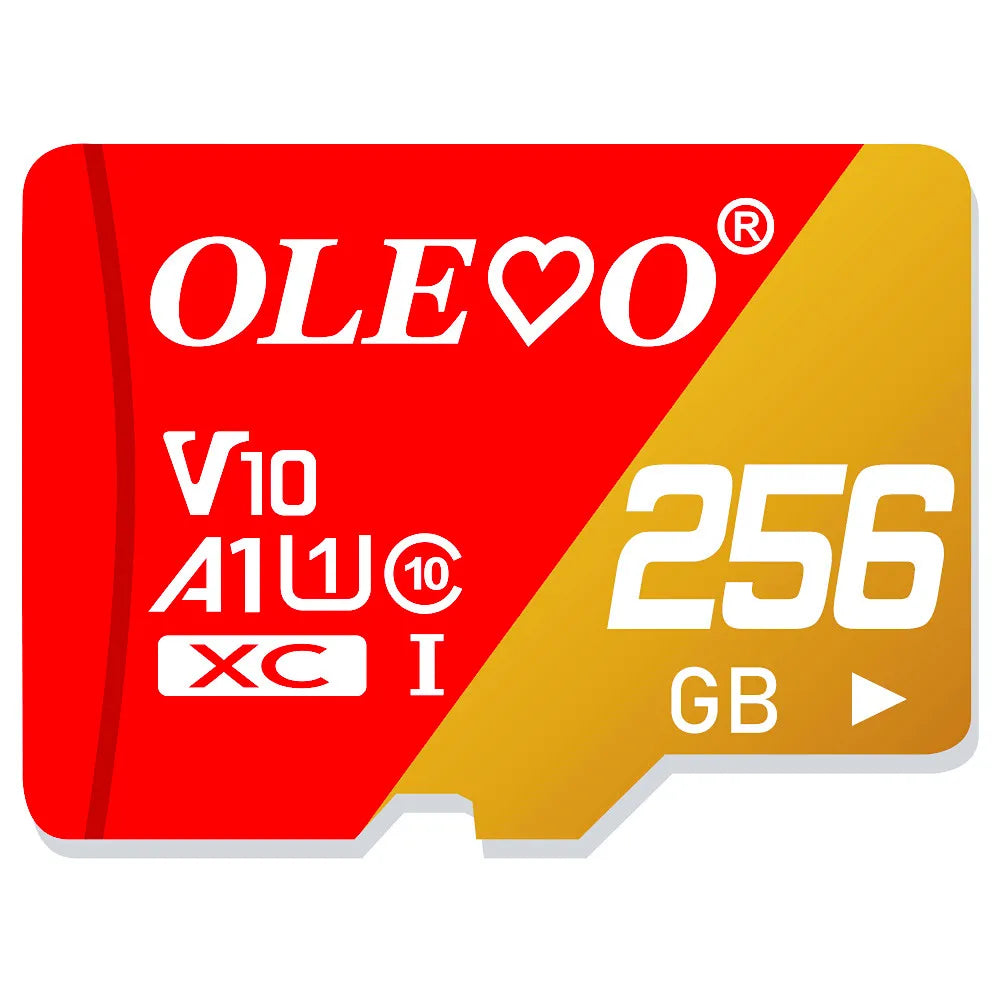 Red and yellow memory card labeled OLE with specifications V10 A1W and 256 GB storage capacity