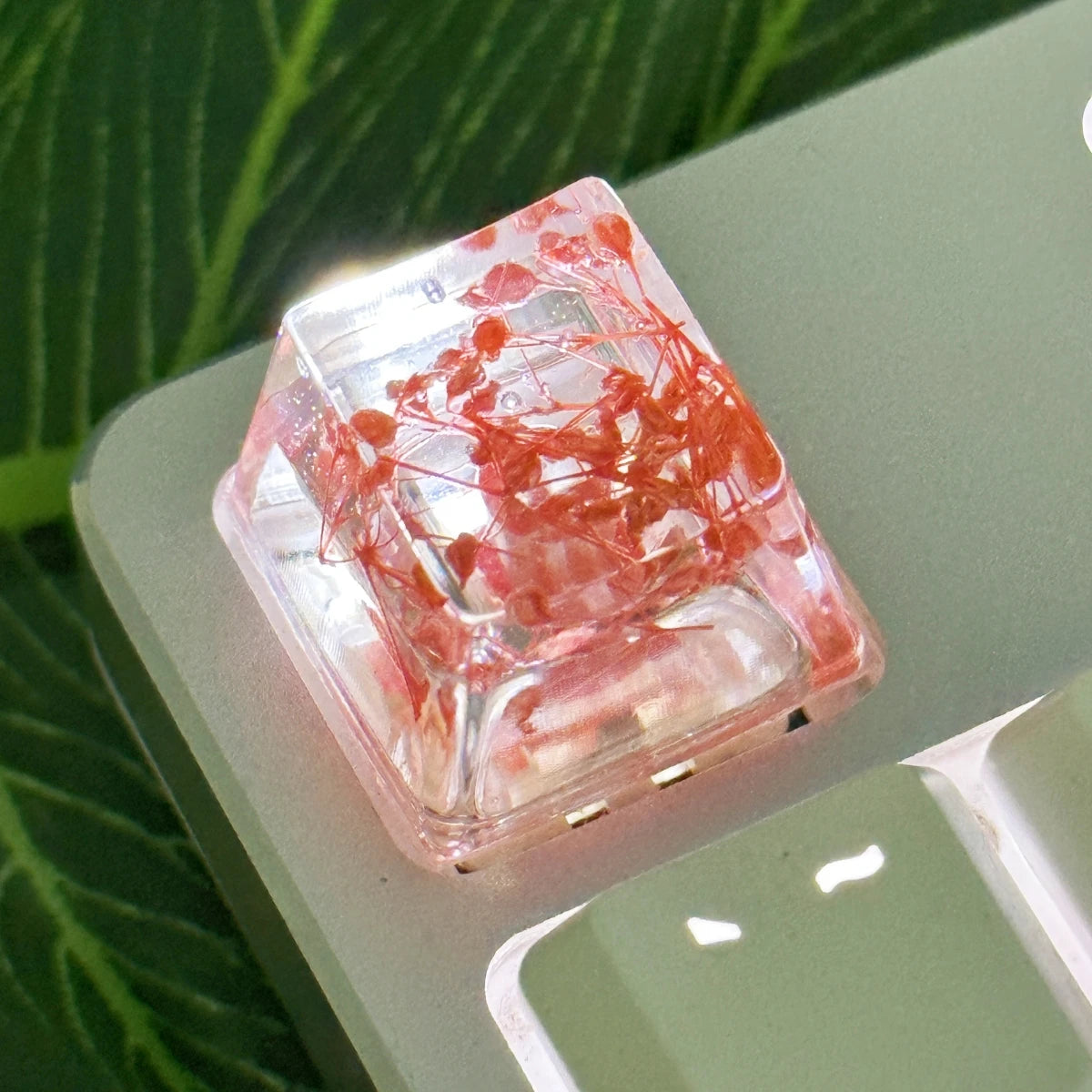 Translucent botanical resin keycaps with red floral inclusions resting on a green surface.