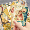 A hand holds several vintage anatomical biology postcards featuring detailed illustrations of the human skull and brain.