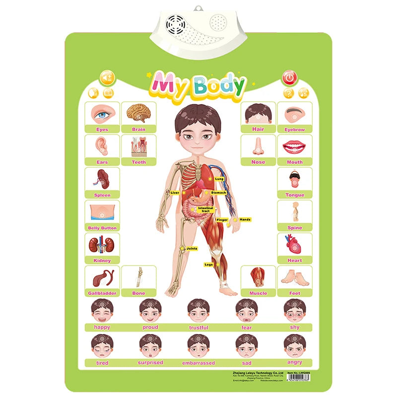 A colorful interactive chart showing various body parts and emotions for preschool learning.
