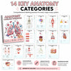 Anatomy labeling workbook with 14 key anatomy categories and clear diagrams for study