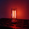 A glass Edison bulb with two glowing filaments sits on a metal tray against a dark red background.
